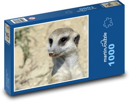 Surikata - zviera, zoologická záhrada - Puzzle 1000 dielikov, rozmer 60x46 cm