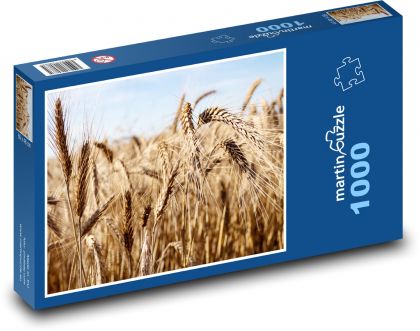 Obilí - pole, sklizeň - Puzzle 1000 dílků, rozměr 60x46 cm