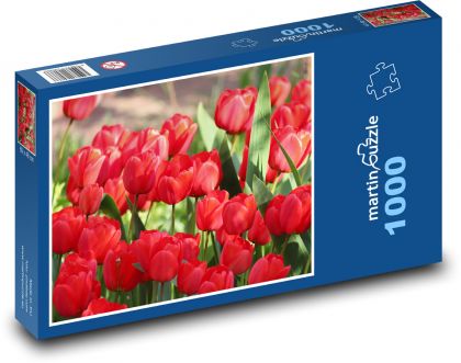 Rote Tulpen - Blumen, Garten - Puzzle - 1000 Teile