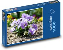 Pansy - spring flower, plant Puzzle 1000 pieces - 60 x 46 cm 