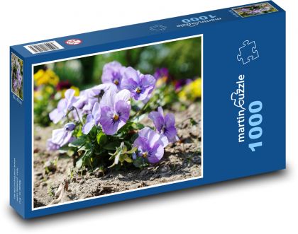 Pansy - spring flower, plant - Puzzle 1000 pieces, size 60x46 cm 