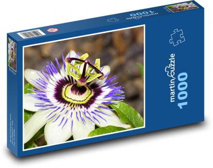 Passionfruit - flower, plant - Puzzle 1000 pieces, size 60x46 cm 