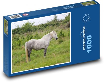 Divoký kůň - Camargský kůň, Francie  - Puzzle 1000 dílků, rozměr 60x46 cm