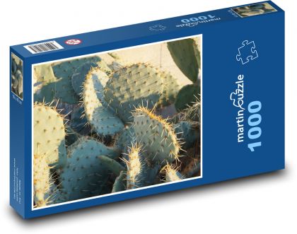 Kaktus - slunce, poušť - Puzzle 1000 dílků, rozměr 60x46 cm