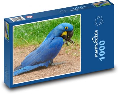 Modrý papoušek - pták, zvíře - Puzzle 1000 dílků, rozměr 60x46 cm