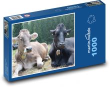 Krávy - hovězí dobytek, farma Puzzle 1000 dílků - 60 x 46 cm