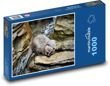 Vydra - zvíře, dravec - puzzle 1000 dílků