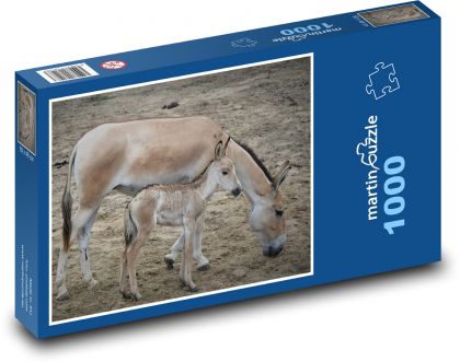 Horse - foal, mother - Puzzle 1000 pieces, size 60x46 cm 