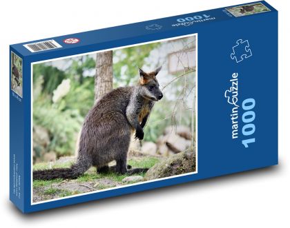 Klokan - zoo, vačnatec - Puzzle 1000 dílků, rozměr 60x46 cm