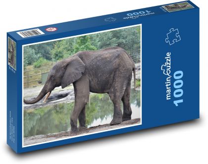Slon - safari, zvíře - Puzzle 1000 dílků, rozměr 60x46 cm