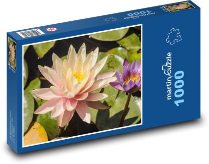 Ľalie - kvet, rybník - Puzzle 1000 dielikov, rozmer 60x46 cm