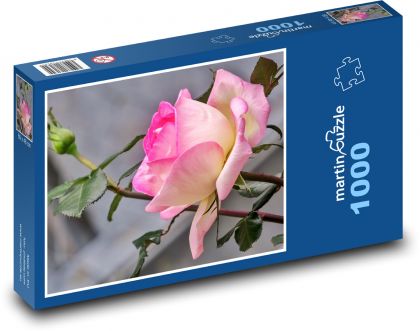 Róże - kwiaty, ogród - Puzzle 1000 elementów, rozmiar 60x46 cm