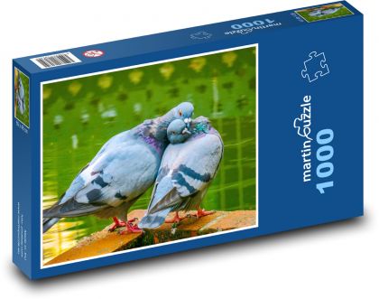 Holubi - ptáci, pár - Puzzle 1000 dílků, rozměr 60x46 cm