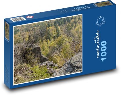Les - stromy, príroda - Puzzle 1000 dielikov, rozmer 60x46 cm