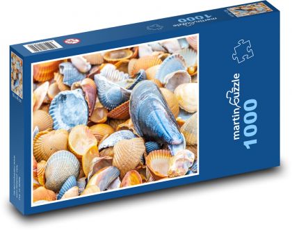 Skořápky - korýši, moře - Puzzle 1000 dílků, rozměr 60x46 cm