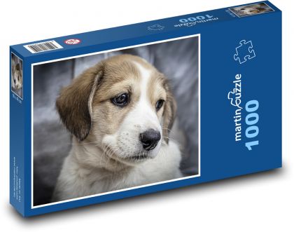 Puppy - pet, dog - Puzzle 1000 pieces, size 60x46 cm 