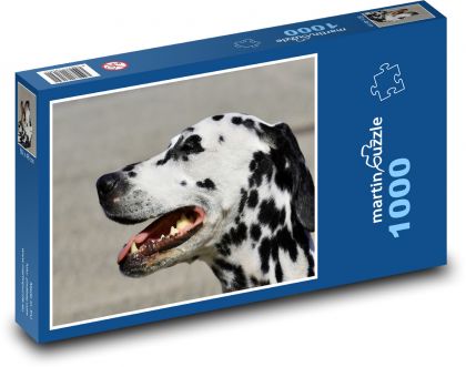 Pes - dalmatin, mazlíček - Puzzle 1000 dílků, rozměr 60x46 cm