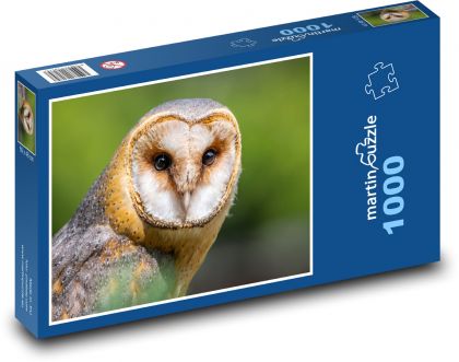 Spalona sowa - drapieżnik, ptak - Puzzle 1000 elementów, rozmiar 60x46 cm
