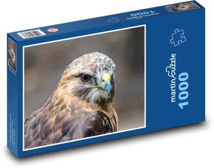 Káně lesní - dravec, pták - puzzle 1000 dílků