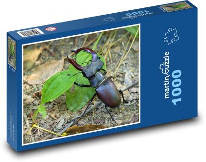 Roháč - brouk, hmyz - Puzzle 1000 dílků, rozměr 60x46 cm