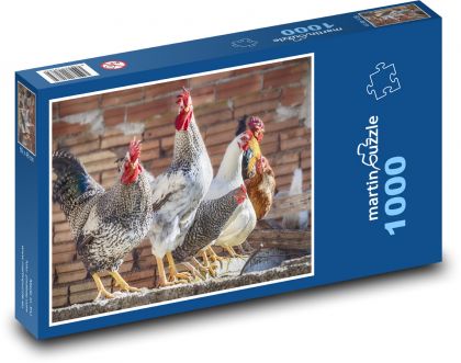 Chicken - rooster, poultry - Puzzle 1000 pieces, size 60x46 cm 