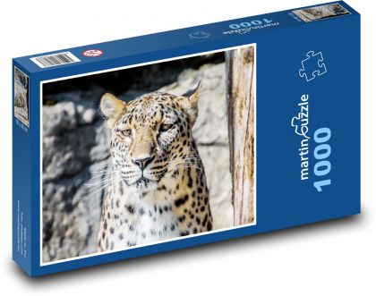 Leopard - veľká mačka, zviera - Puzzle 1000 dielikov, rozmer 60x46 cm