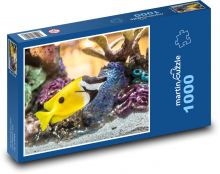 Ryba - korál, akvárium Puzzle 1000 dílků - 60 x 46 cm
