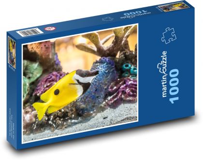 Ryba - korál, akvárium - Puzzle 1000 dílků, rozměr 60x46 cm