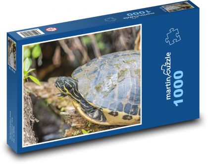 Turtle - reptile, animal - Puzzle 1000 pieces, size 60x46 cm 