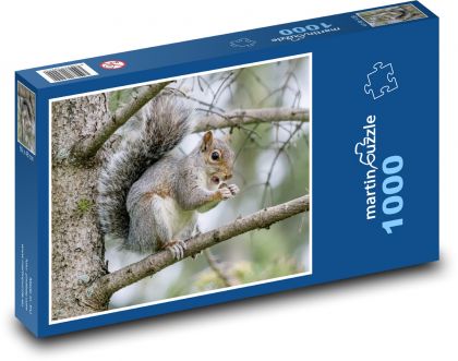 Squirrel on a branch - animal, tree - Puzzle 1000 pieces, size 60x46 cm 