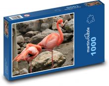 Flamingi - ptaki, zwierzęta Puzzle 1000 elementów - 60x46 cm