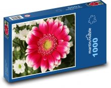 Kvet - rastlina, kvet Puzzle 1000 dielikov - 60 x 46 cm 