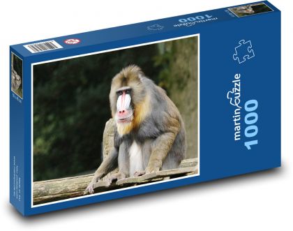 Opice - zvíře, savec  - Puzzle 1000 dílků, rozměr 60x46 cm