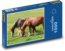Kůň - pastvina, zvíře Puzzle 1000 dílků - 60 x 46 cm
