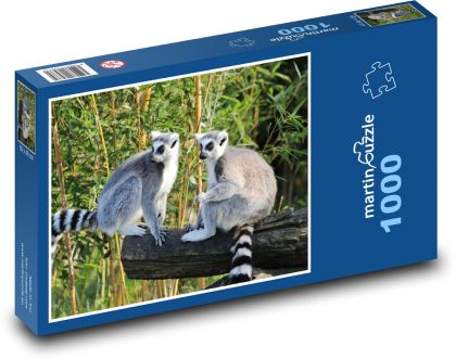 Lemur - Madagaskar, opica - Puzzle 1000 dielikov, rozmer 60x46 cm