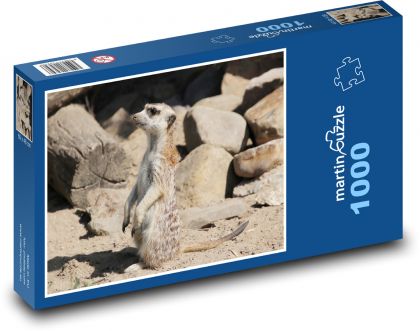 Surikata - Tier, Säugetier - Puzzle - 1000 Teile