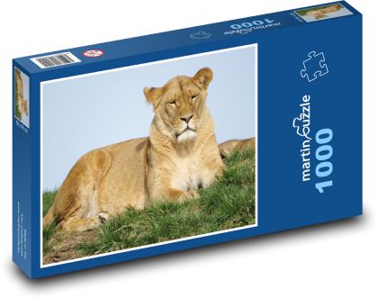 Lev - lvice, lvíčata - Puzzle 1000 dílků, rozměr 60x46 cm