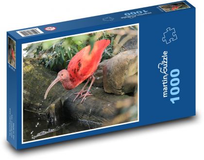 Červený ibis - pták, zvíře - Puzzle 1000 dílků, rozměr 60x46 cm