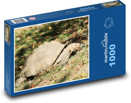 Turtle - reptile, animal - Puzzle 1000 pieces, size 60x46 cm 