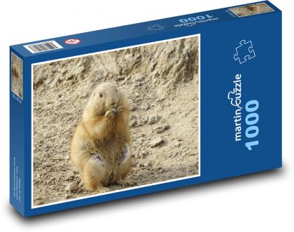 Pies preriowy - zwierzę, zoo - Puzzle 1000 elementów, rozmiar 60x46 cm