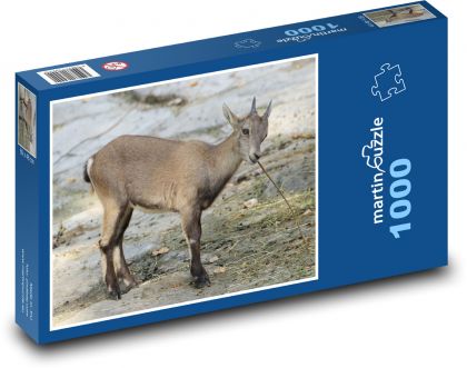 Kozoroh - zvíře, savec - puzzle 1000 dílků