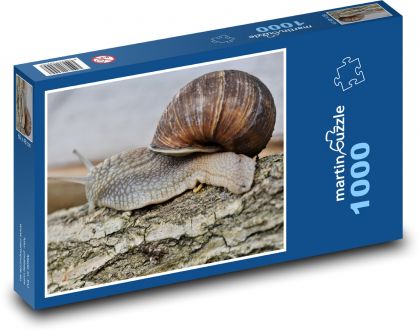 Slimák - mäkkýš, škrupina - Puzzle 1000 dielikov, rozmer 60x46 cm