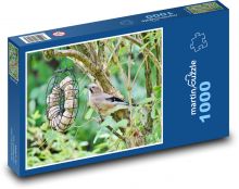 Sojka - pták, zvíře Puzzle 1000 dílků - 60 x 46 cm
