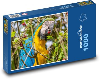 Exotický papoušek - pták, zvíře - Puzzle 1000 dílků, rozměr 60x46 cm