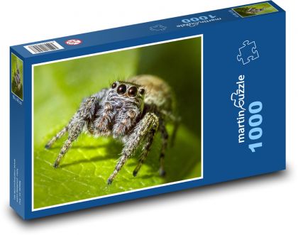 Spider - insect, animal - Puzzle 1000 pieces, size 60x46 cm 