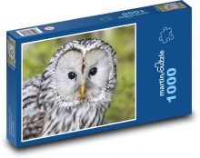 Šedá sova - pták, zvíře Puzzle 1000 dílků - 60 x 46 cm