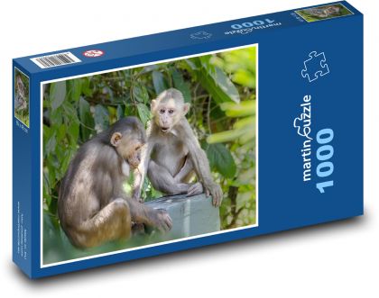 Makaken - Affe, Tier - Puzzle - 1000 Teile