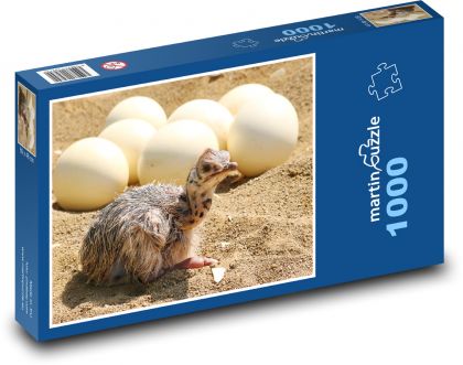 Pštros - mláďa, vajce - Puzzle 1000 dielikov, rozmer 60x46 cm