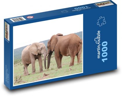 Słonie - Afryka, Safari - Puzzle 1000 elementów, rozmiar 60x46 cm