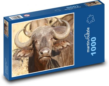 Buffalo - Südafrika, animal - Puzzle - 1000 Teile